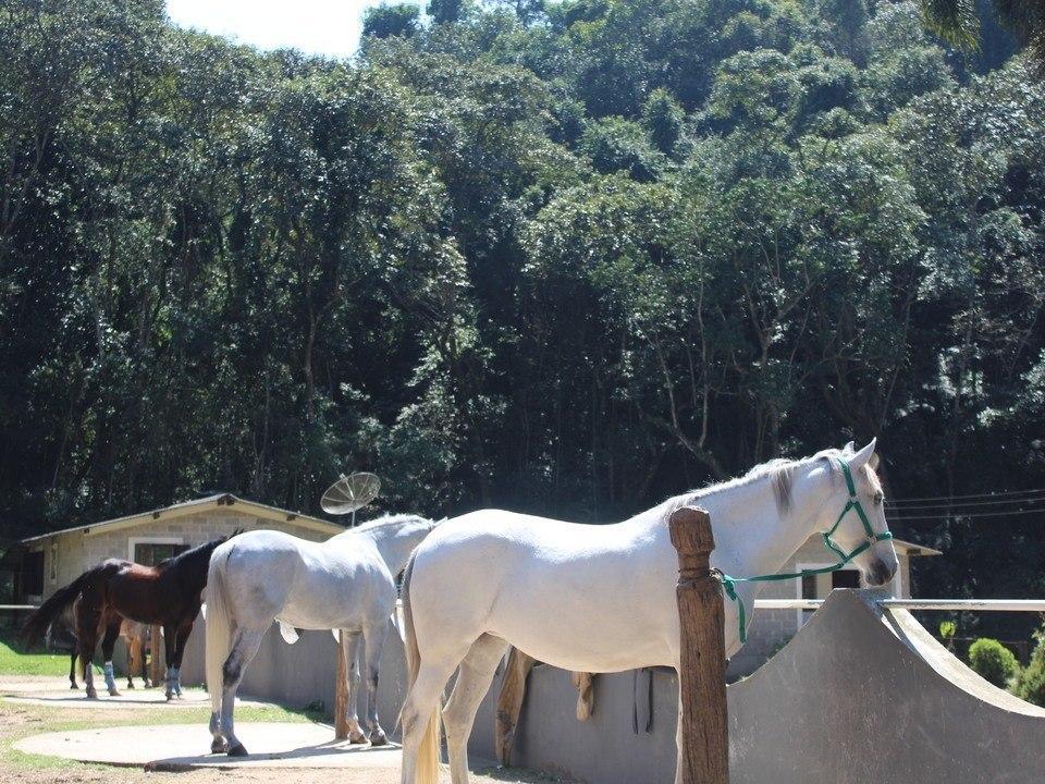 Hotel Fazenda Apm Caieiras Esterno foto